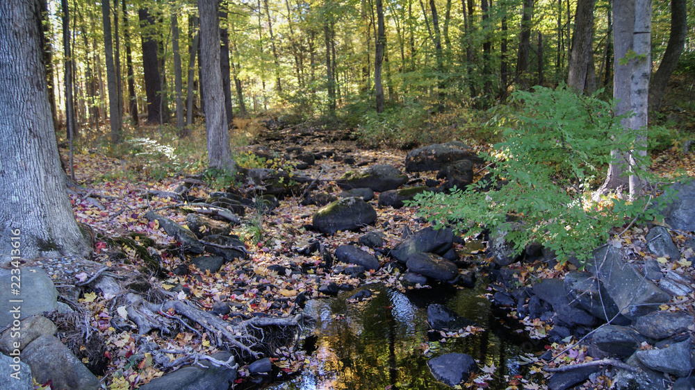 Small river crossing trough the forest during the beginning of the autumn fall season in Massachusetts, New England Small river crossing trough the forest during the beginning of the autumn fall season in Massachusetts, New England