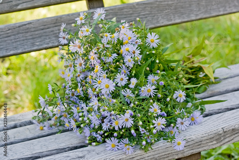 A bouquet of autumn flowers on a wooden bench