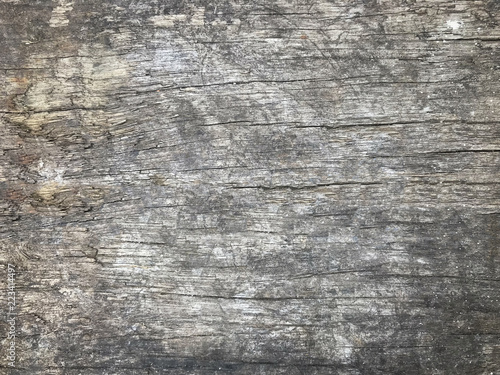 Close-up view gray wooden wall or floor  background texture  garden or park