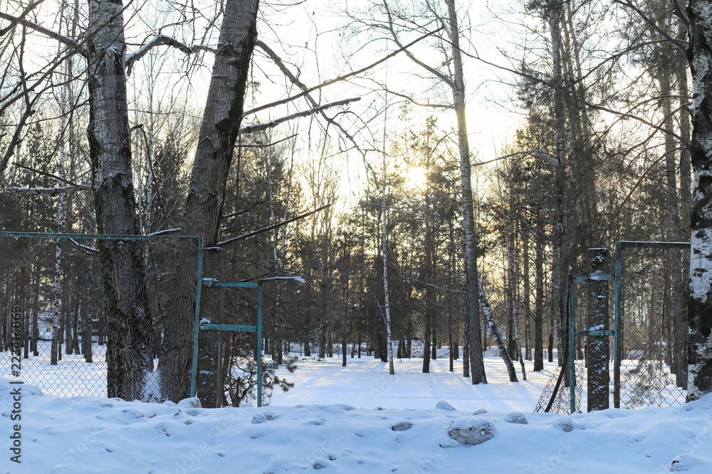 Winter landscape snow covered expanses. A park in the winter in Winter landscape snow covered expanses. A park in the winter in