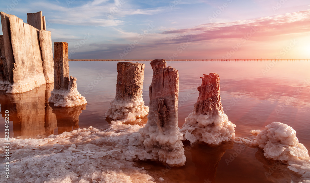 Rose salt lake Sivash production and salt and therapeutic mud.Ukraine Kherson region
