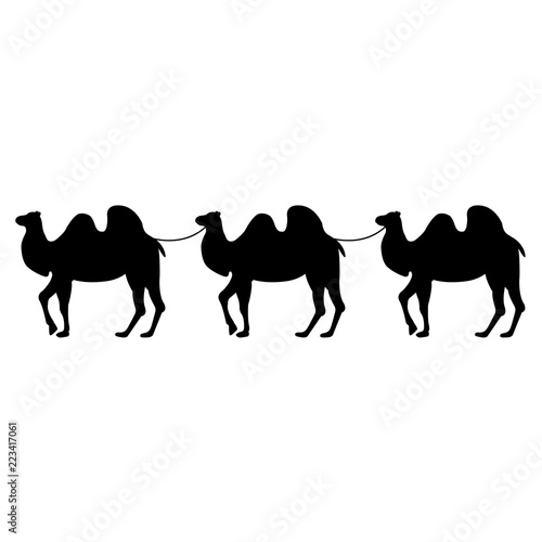 Camel icon  silhouette  logo on white background