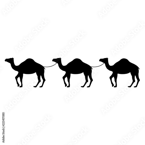 Camel icon, silhouette, logo on white background