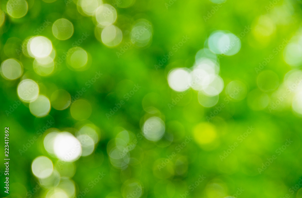 Natural blurred background. Natural blurred background.