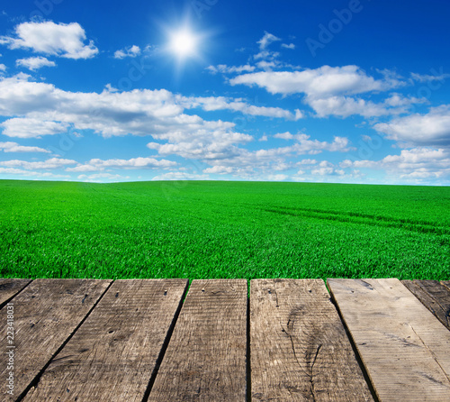 Image of green grass field and bright blue sky