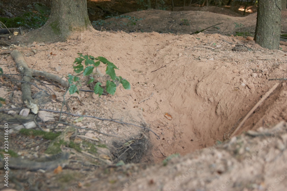 Obraz premium Aushub mit Laufweg vom Dachs