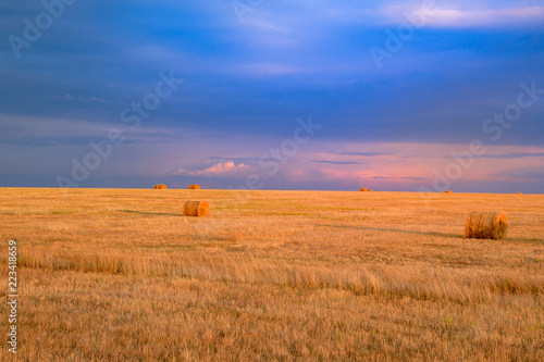 Beveled field with bales of straw. Beautiful summer evening landscape.