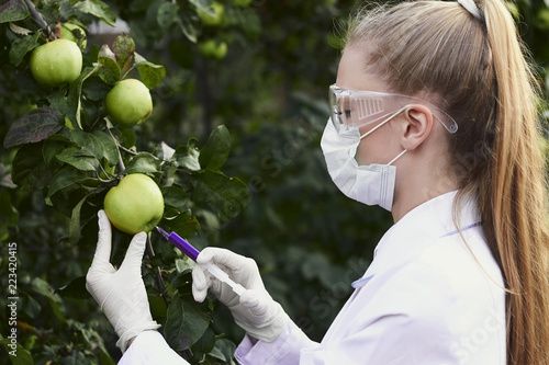 Young scientist in gloves, glasses and mask injecting apple with purple fertilizer. GMO modified fruits.
