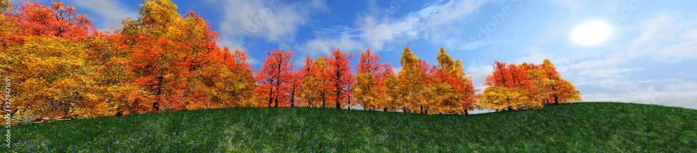 Edge of the autumn forest. Panorama of autumn trees.
