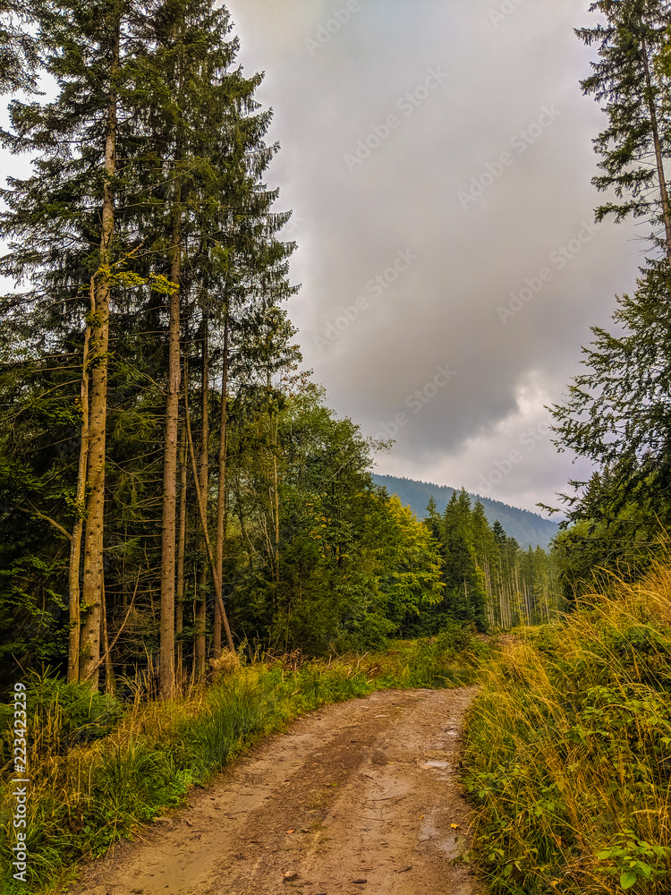 The Carpathian mountains landscape during mist in the autumn season The Carpathian mountains landscape during mist in the autumn season