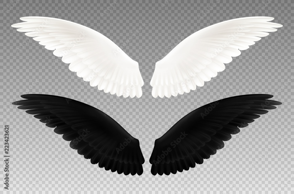 Naklejka premium Black And White Wings Transparent Set