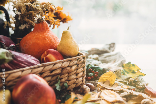 Harvest time. Happy Thanksgiving .Pumpkin and vegetables in basket and colorful leaves with acorns and nuts on wooden table in sunny light. Bright Fall image. Hello Autumn.