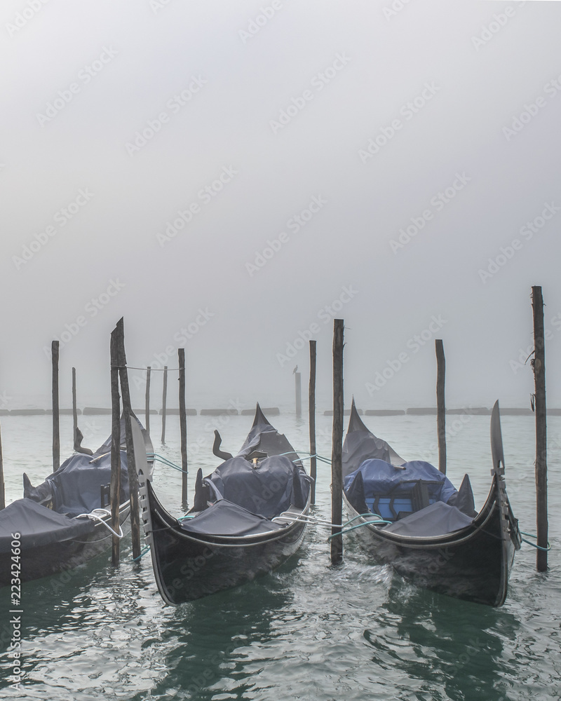 Gondolas Parked at Shore, Venice, Italy