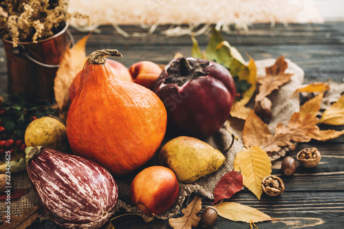 Happy Thanksgiving concept. Beautiful composition of Pumpkin, autumn vegetables with colorful leaves,acorns,nuts, berries on wooden rustic table. Fall seasons greeting card