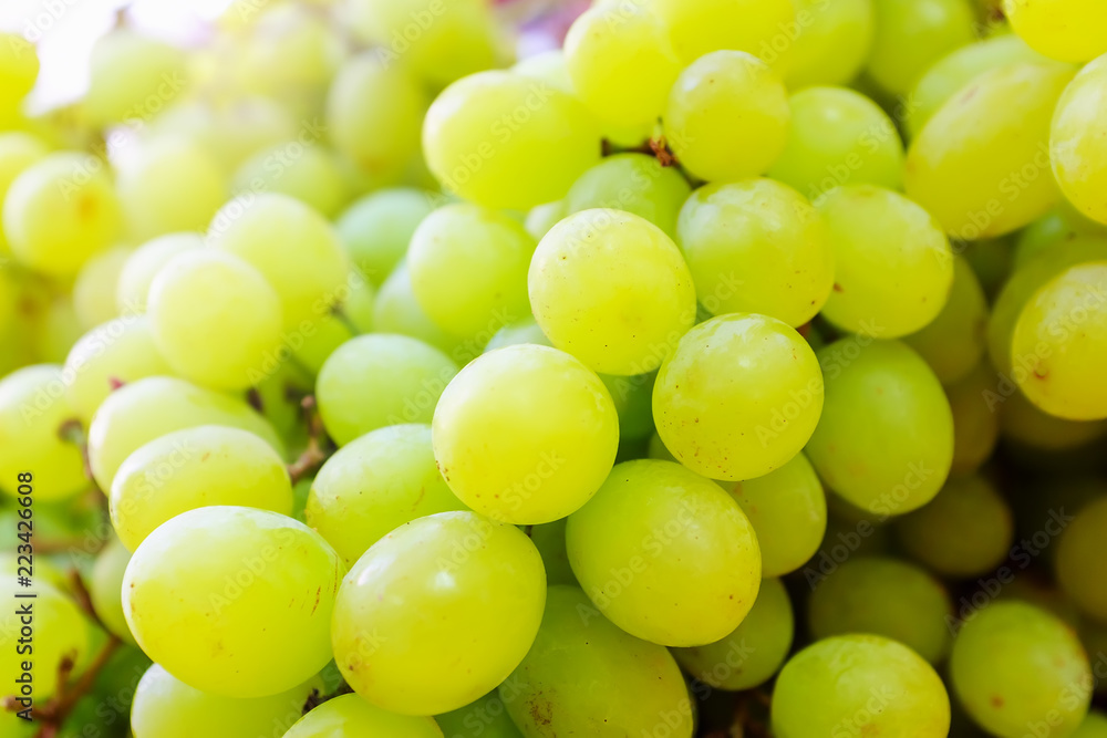 Many berries of white grapes. Juicy white grapes background Many berries of white grapes. Juicy white grapes background