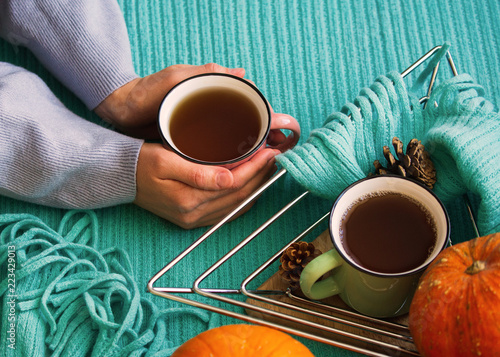Autumn Composition. Woman's Hands with Mug of Tea or Coffee, Pumpkins, Cones on a Warm Blanket. Hot Drink for Autumn Cold Days. Cozy Concept, Autumn Mood.