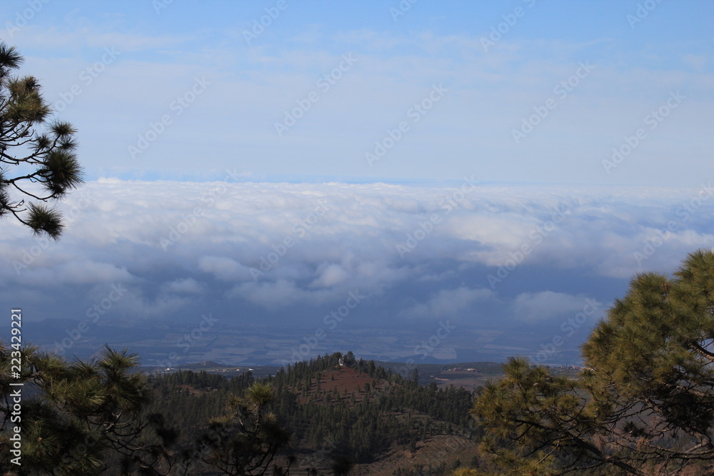 Obraz premium Mountain view of forest hills