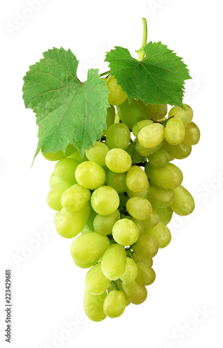 Bunch of ripe grapes with leaves, isolated on white background without shadow. Close-up. Varietal grapes. Winemaking.