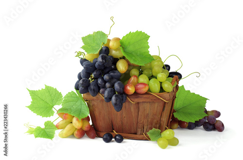 Basket full of various grapes with leaves and tendrils. Isolated. Wine-making. Autumn.