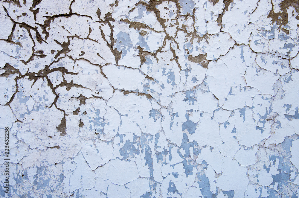 Obraz premium old wall texture