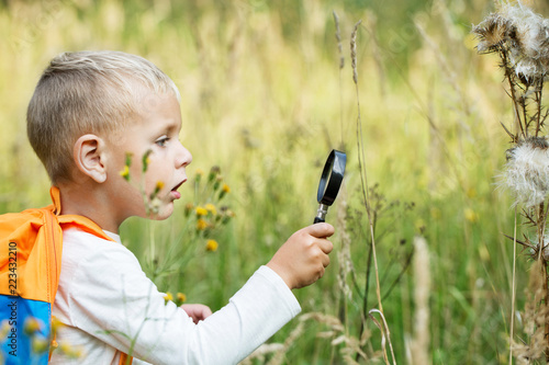 A small boy explores with a magnifying glass plants and insects