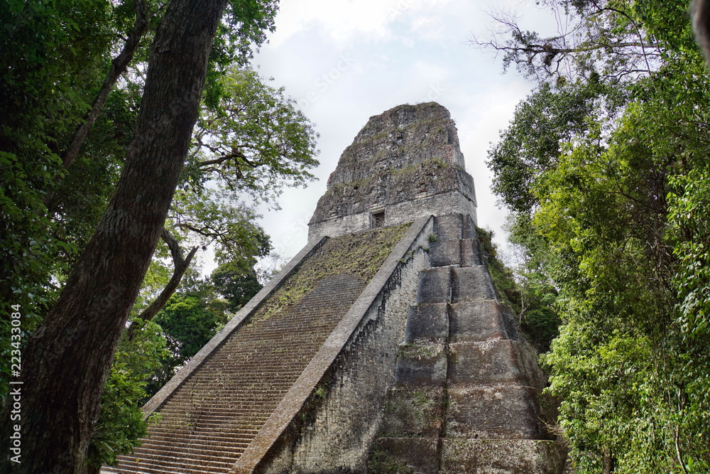 Mayastadt Tikal in Guatemala