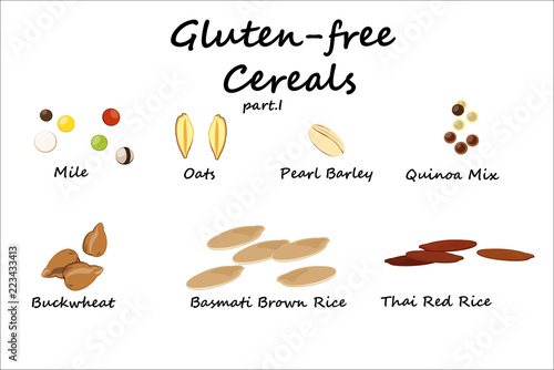 gluten-free cereals part.II