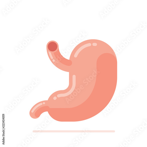Flat design vector Illustration of human stomach