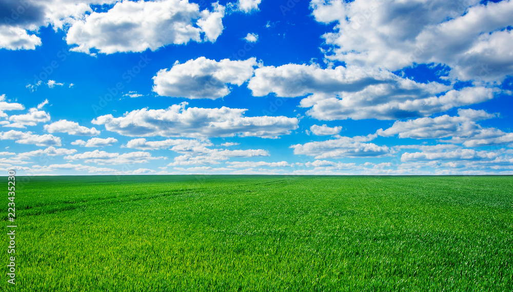 Image of green grass field and bright blue sky Image of green grass field and bright blue sky