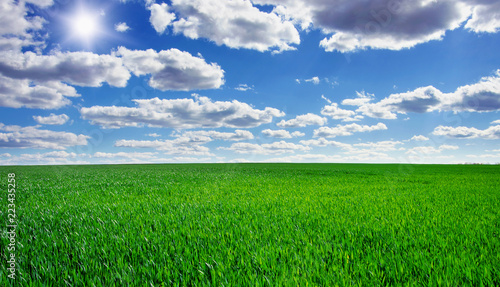 Image of green grass field and bright blue sky