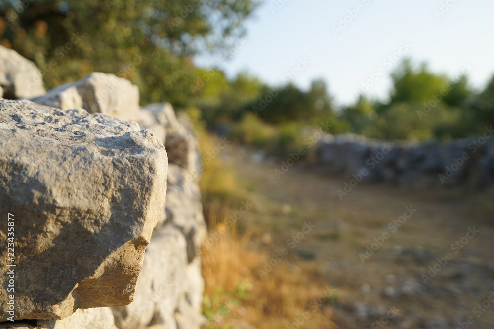 Stone in a sidewalk