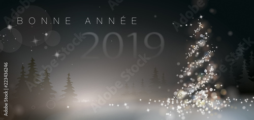 BONNE ANNÉE 2019 nuit