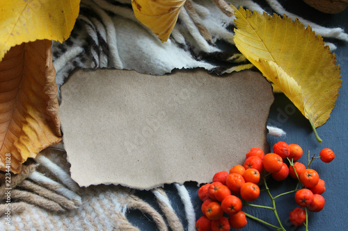 A small piece of yellowed paper with charred black edges surrounded by yellow autumn leaves, a copy of the spacen photo