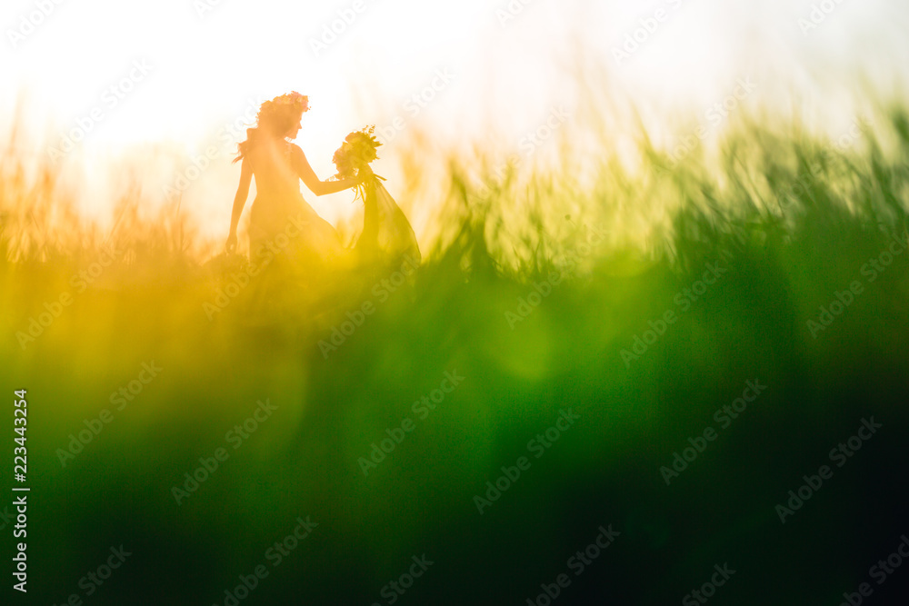 Silhouette of the Bride on the grass.  Angle from the bottom of the grass.
