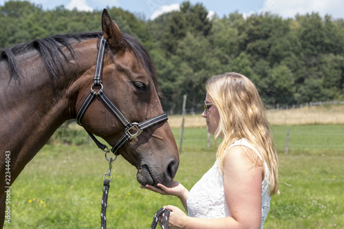 Pferd wird von Besitzerin/Reiterin gefüttert © Bittner KAUFBILD.de