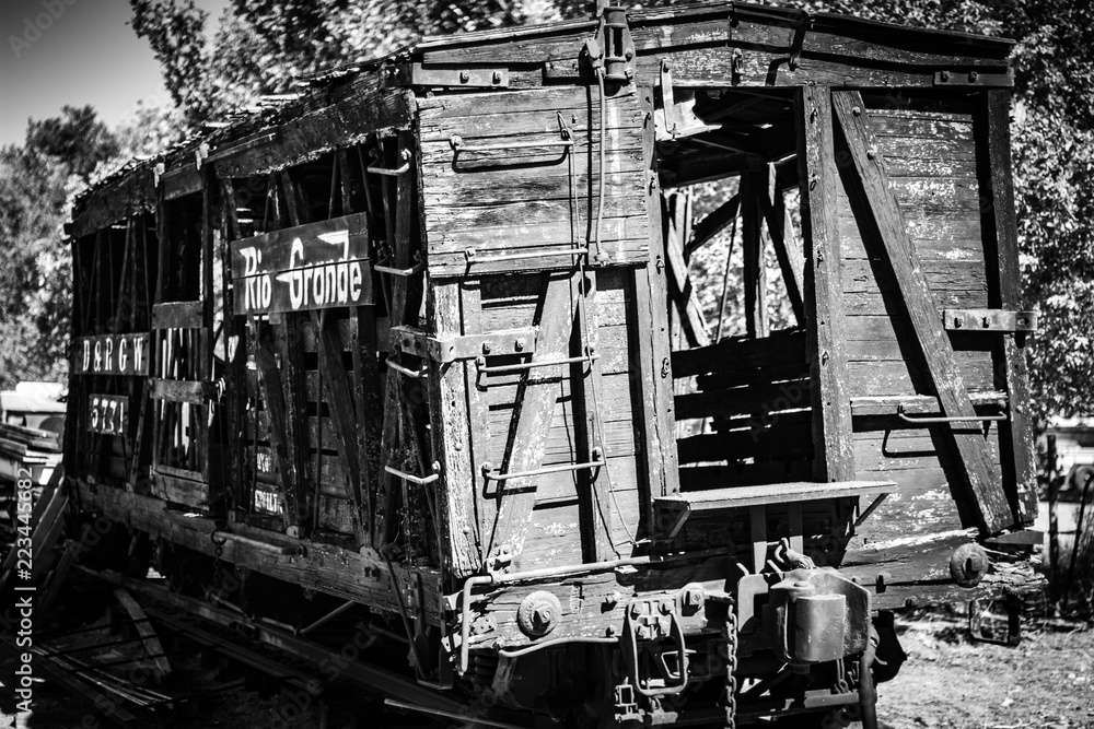 Fototapeta premium Cattle Car BW