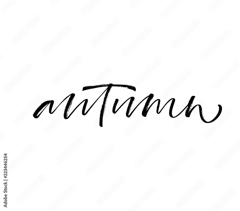 Autumn phrase. Hand drawn brush style modern calligraphy. Vector illustration of handwritten lettering. 