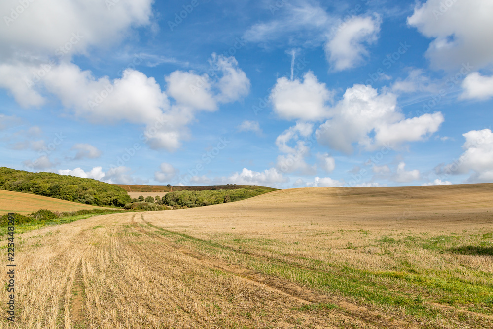 Countryside on the Isle of Wight on a sunny late summer's day