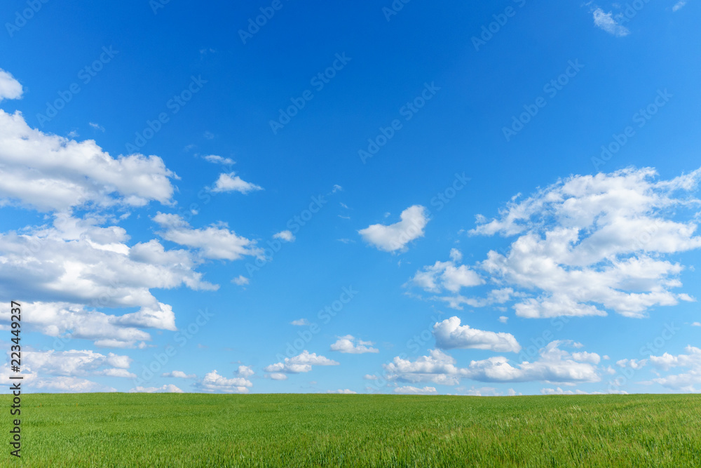 Blank landscape with green field blue sky and clouds