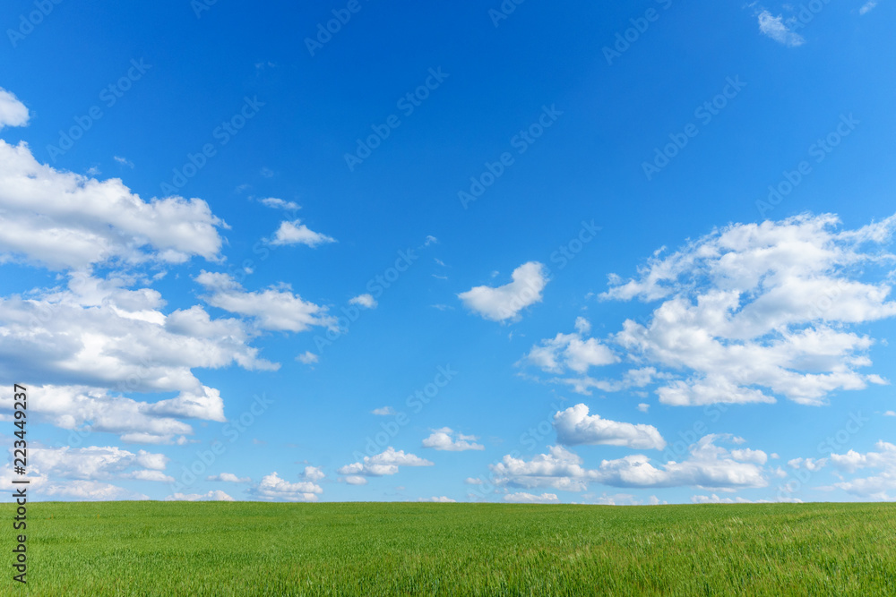 Blank landscape with green field blue sky and clouds Blank landscape with green field blue sky and clouds
