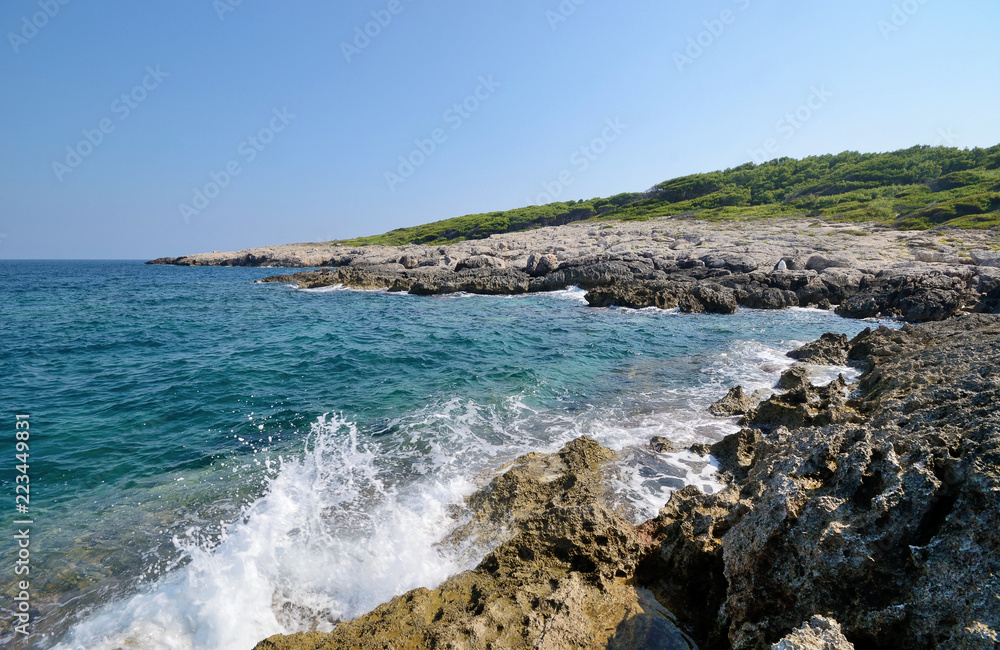 Puglia, Italy, August 2018, a glimpse of north adriatic coast of San Domino island with its rocks and pine forest