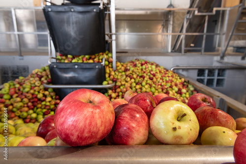 Ripe fall apples in a container, ready to squeeze apple juice