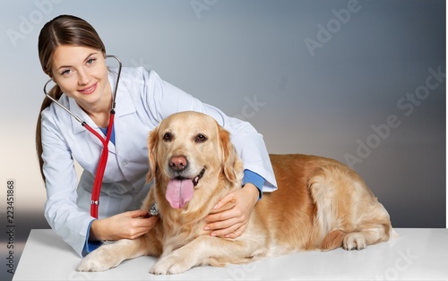 Fototapeta Naklejka Na Ścianę i Meble -  Beautiful young veterinarian with a dog on