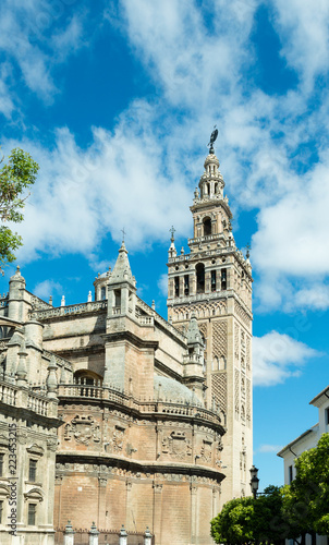 View of the Giralda tower from Square of the courtyard of the flag, Sevilla, Andalusia, Spain.