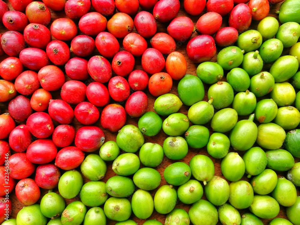 Red and Green Coffee Beans Texture Background, Yin Yang Concept