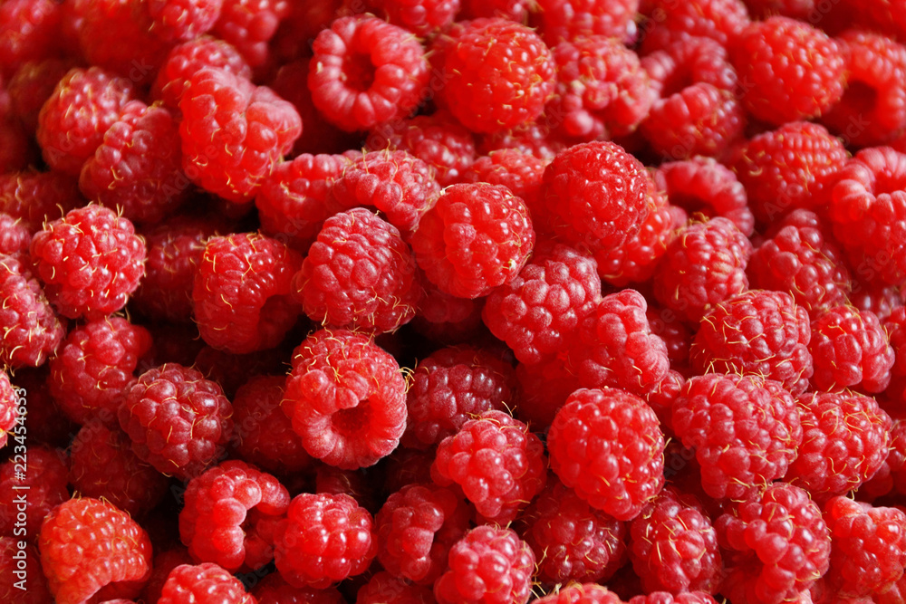 raspberry lot of berries texture background raspberry lot of berries texture background