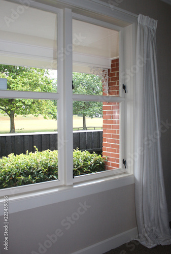 window with hedge