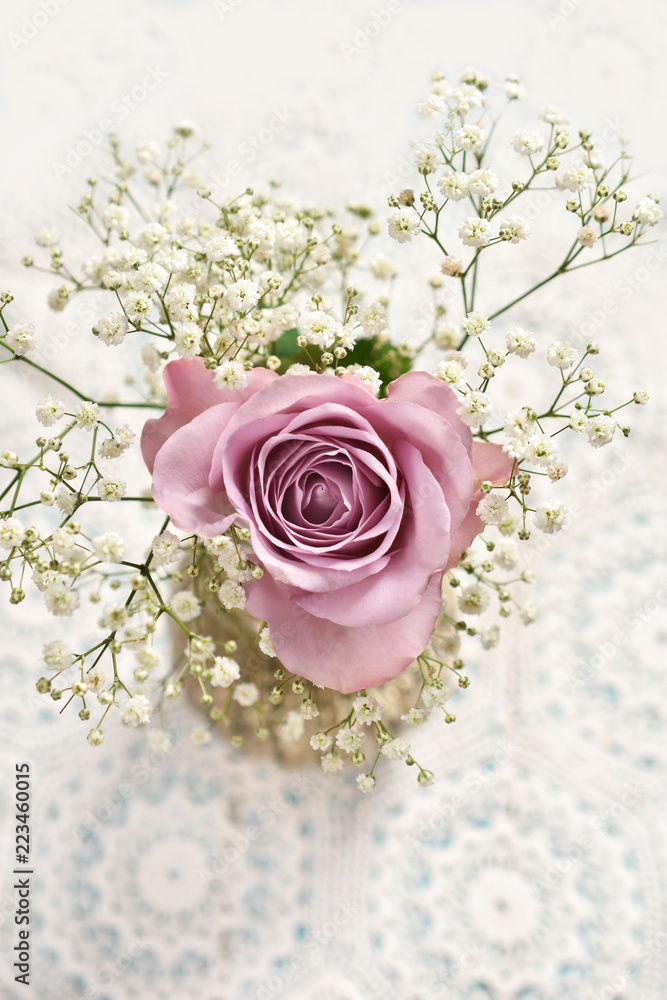 Fototapeta premium beautiful lavender color rose with gypsophilla -top view