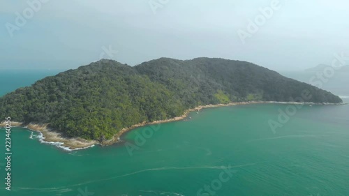 tamandua island in brazilian coast photo