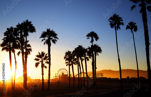 Beautiful sunset through the palm trees. Santa Monica beach, California, USA